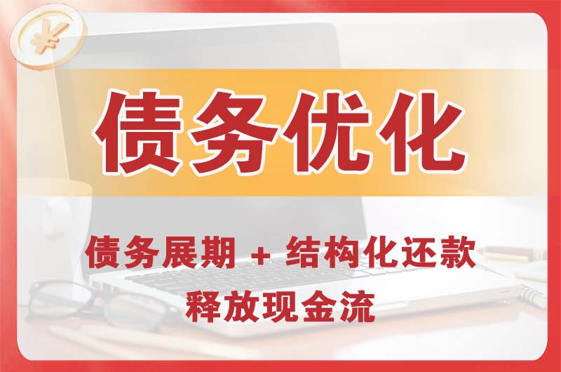 大丰债务优化