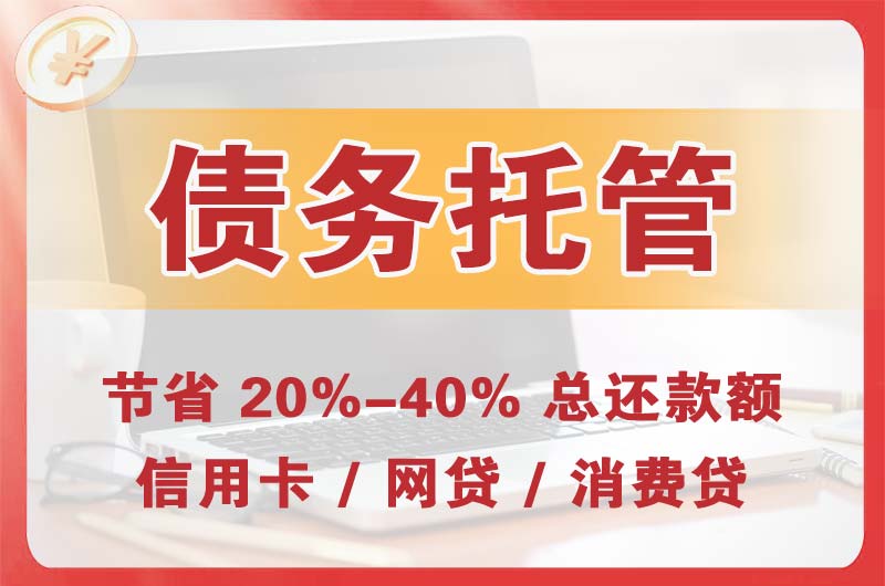 大丰债务托管