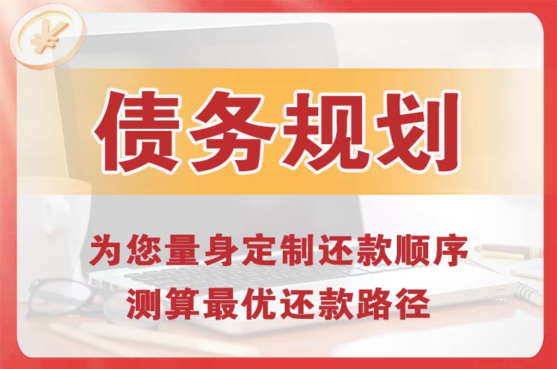 大丰债务规划